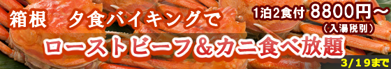 banner1305_natsuyasumi